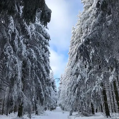 Wolkenplatz Apartmán Winterberg