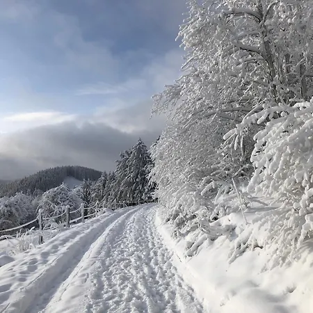 Wolkenplatz Winterberg