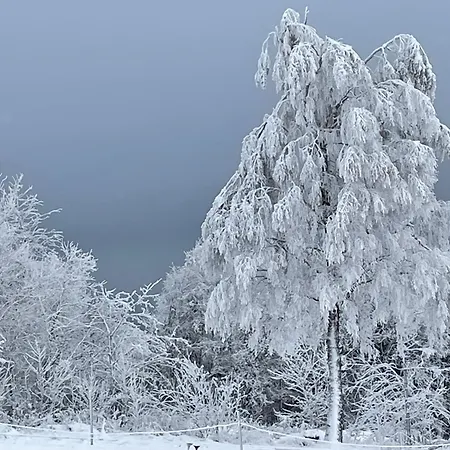 아파트 Wolkenplatz *