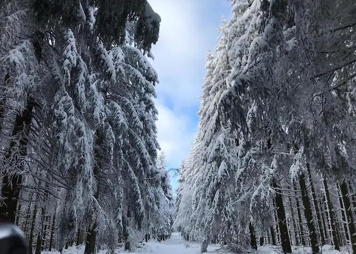 Wolkenplatz Lägenhet Winterberg