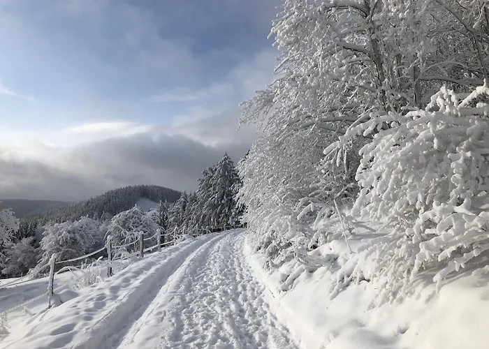 Wolkenplatz 빈터베르크