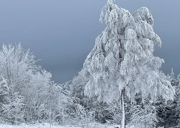 Lägenhet Wolkenplatz *