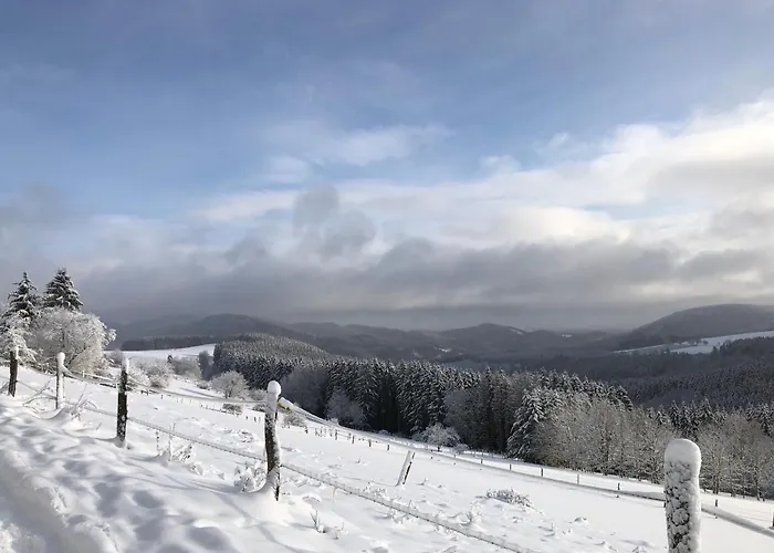 Wolkenplatz Lägenhet Winterberg